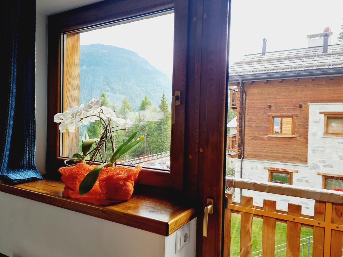 Chalet Selva Isolaccia Extérieur photo